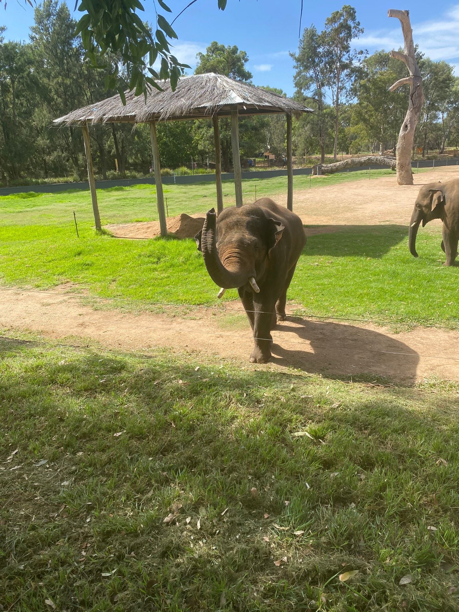 Dubbo Zoo 2025 Image -67de04c2b95f9